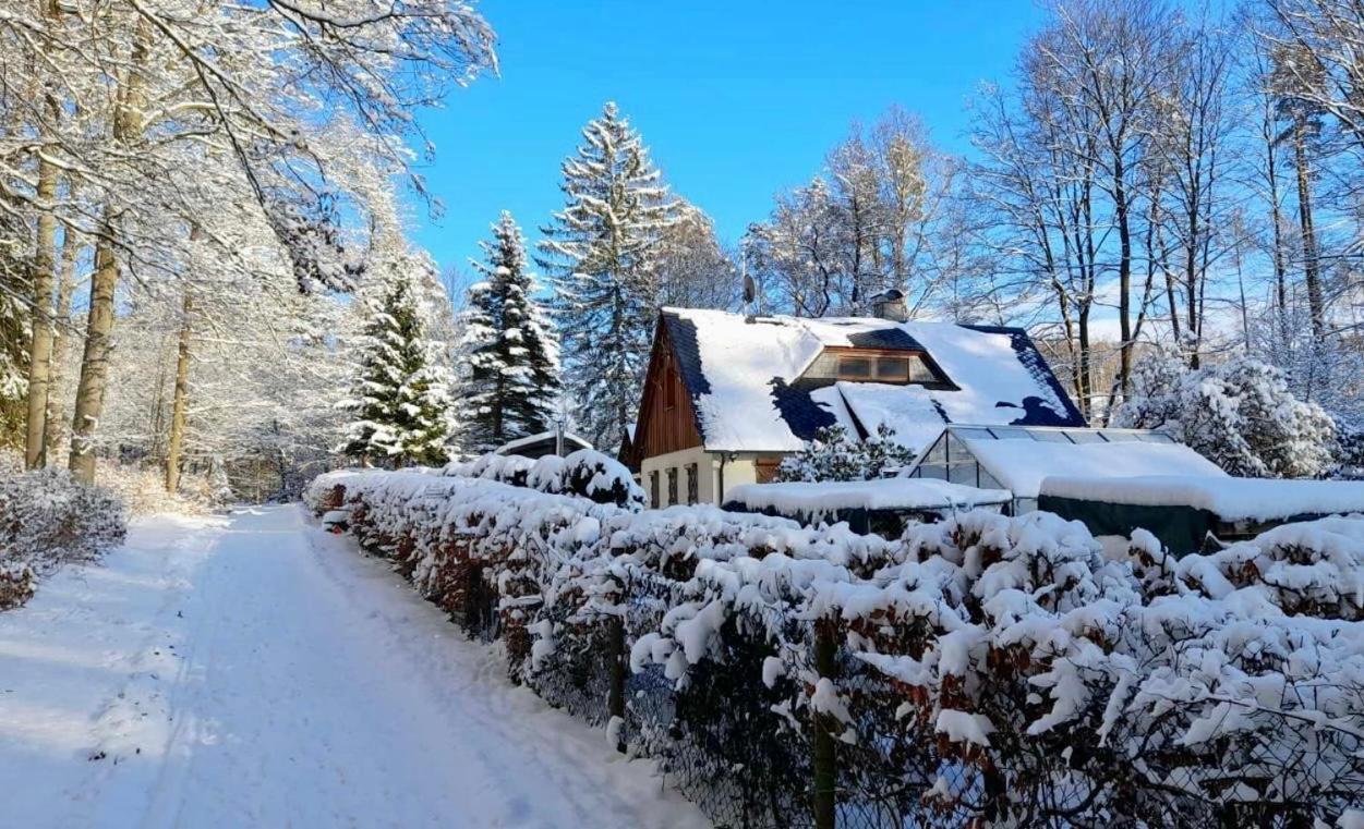Ferienhaus Jaegerhaus Oppach Privathaus Eksteriør bilde